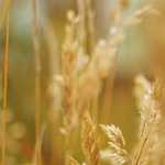 結婚式にお呼ばれ!パーティドレスのインナーの選び方